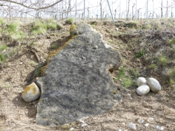 Steinosterhase am Standpfad