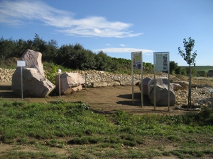 Strandpfad-der-Sinne Station 2